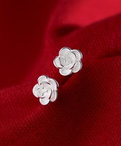 Fashion earrings